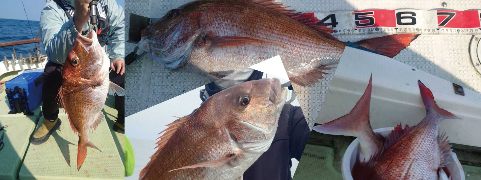 酒田遊漁船 はっぴー丸 タイラバ 真鯛 タイジギング